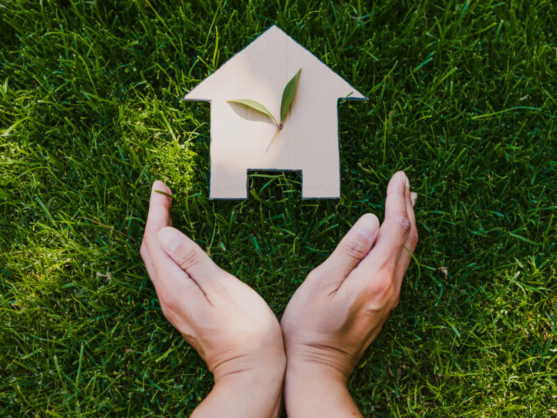hands open and cradling a wooden silhouette of a house with a green leaf on it laying in green grass